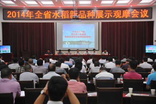 全省水稻新品种展示观摩培训会在宜昌枝江市举行