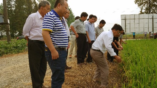 越南农业专家考察湖北富硒稻
